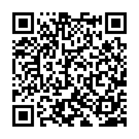 QR code for TDL315