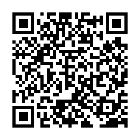 QR code for TDN619