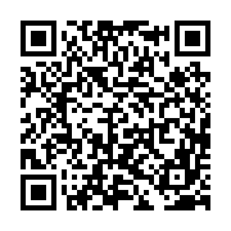 QR code for TDP256