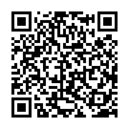 QR code for TDP538