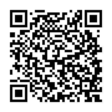 QR code for TDV384