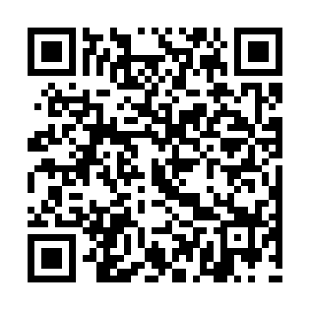 QR code for TDW339
