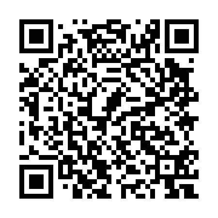 QR code for TDY010