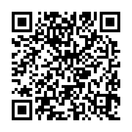QR code for TEF383