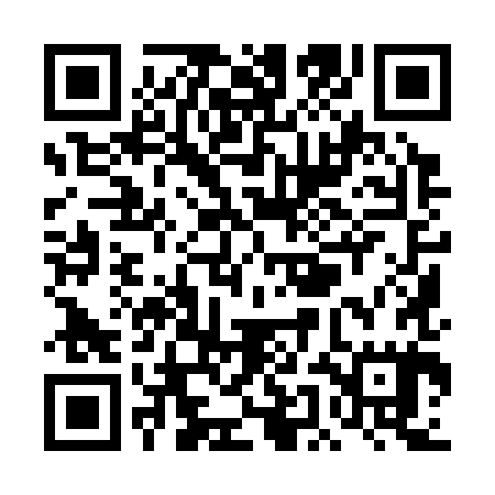 QR code for TEI385