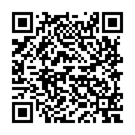 QR code for TEI991