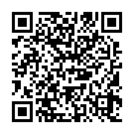 QR code for TEM238