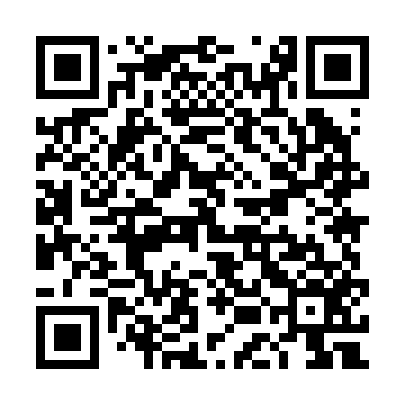 QR code for TEM256