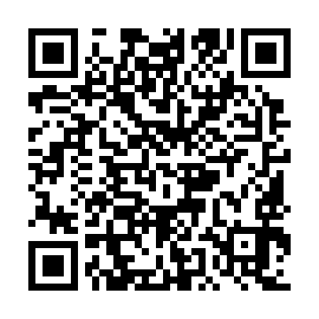 QR code for TEM393