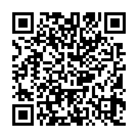 QR code for TEM739