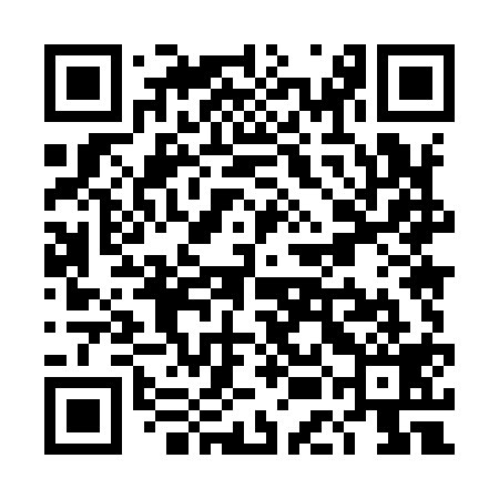 QR code for TEM919
