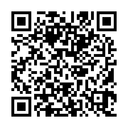QR code for TEM960