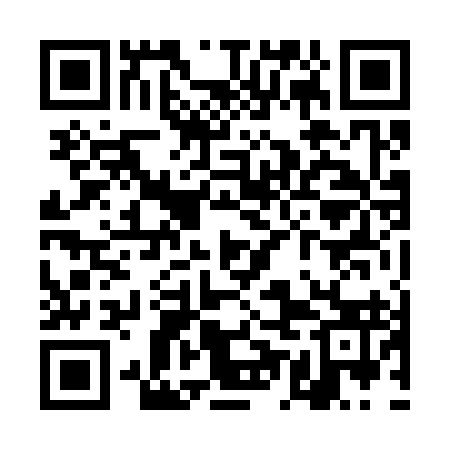 QR code for TEN393