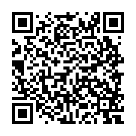 QR code for TEX383
