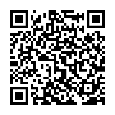 QR code for TFL311