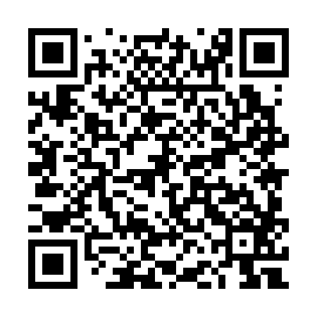 QR code for TFM386