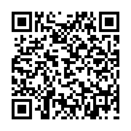 QR code for TFM538