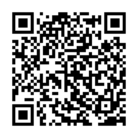 QR code for THE213
