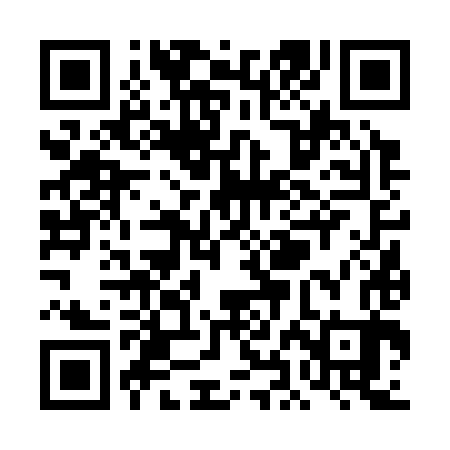 QR code for THF383
