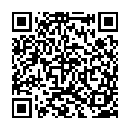 QR code for THY341