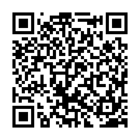 QR code for THZ334