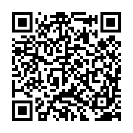 QR code for THZ497