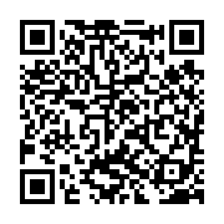 QR code for THZ699