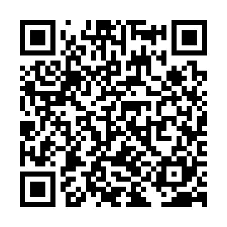 QR code for TIC325