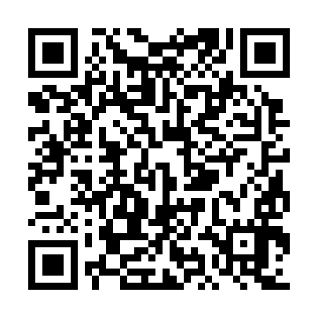 QR code for TIC397