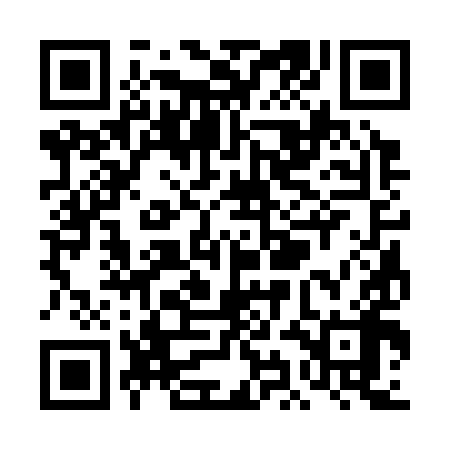 QR code for TIC398