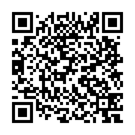 QR code for TIC539