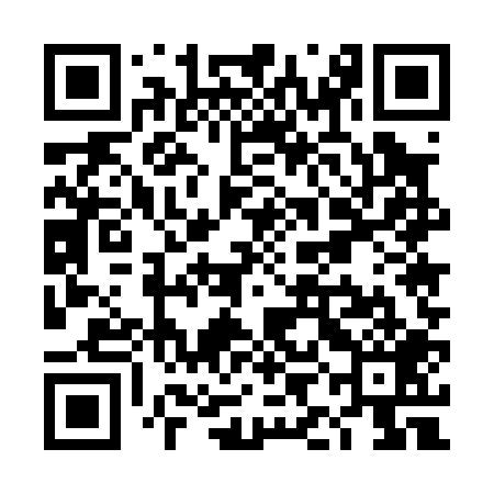 QR code for TIE009