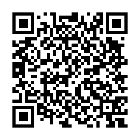 QR code for TIE471