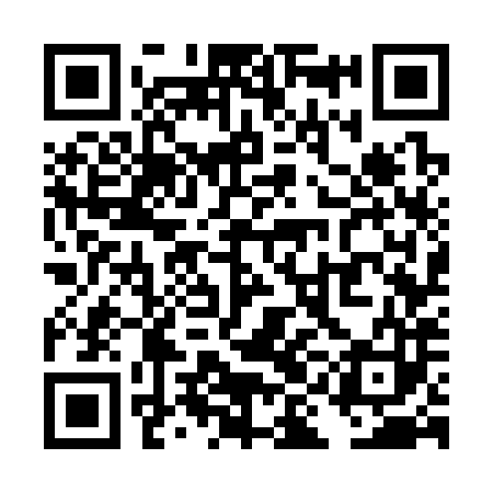 QR code for TIG383