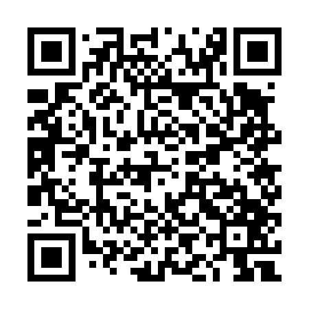 QR code for TIG447