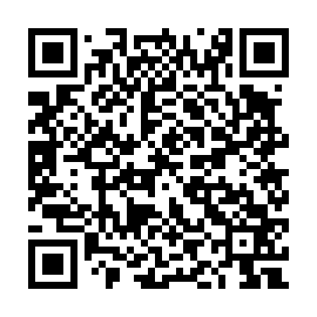 QR code for TIG463
