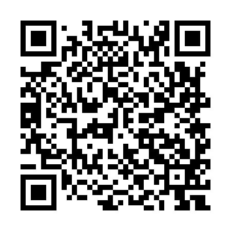 QR code for TIG993
