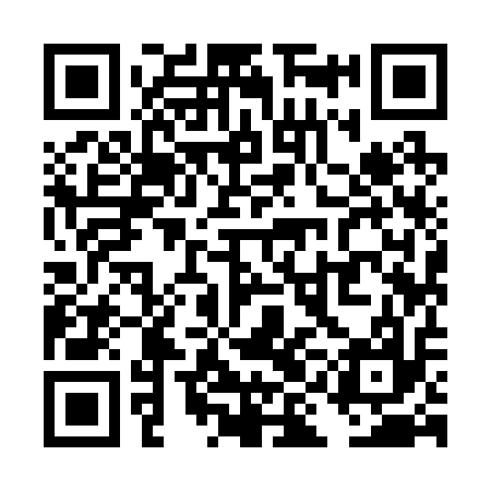 QR code for TII217