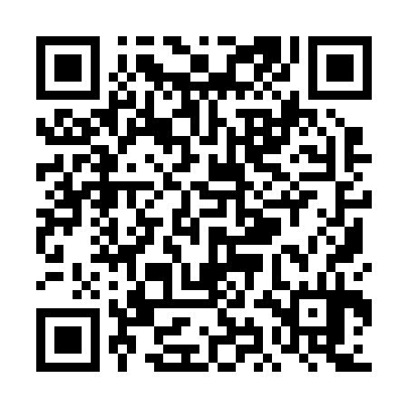 QR code for TII234