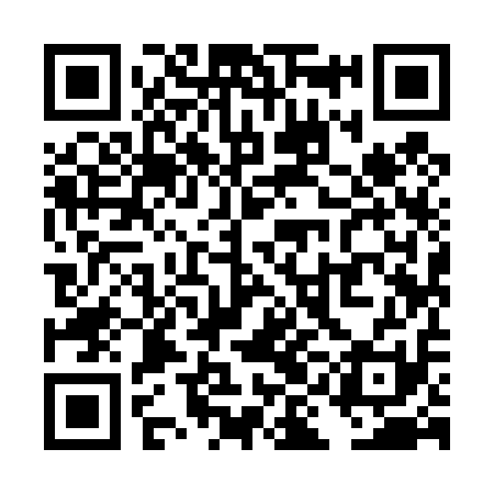 QR code for TII411