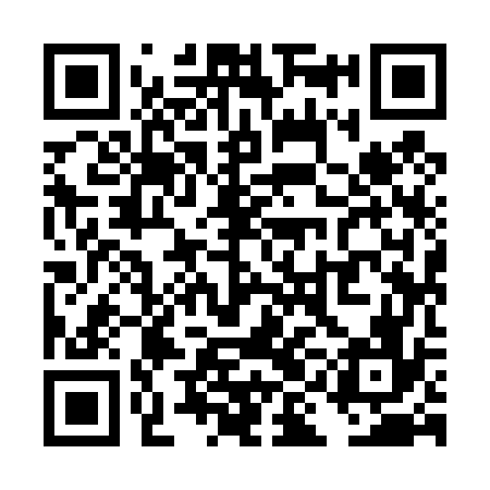 QR code for TII476