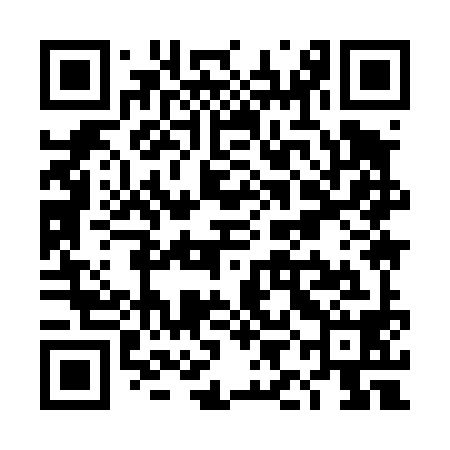 QR code for TII498