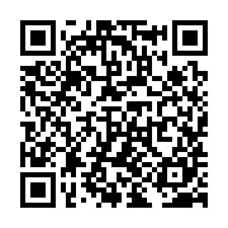 QR code for TIK385