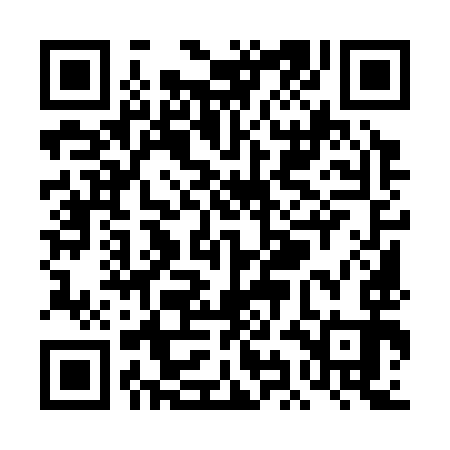 QR code for TIM393