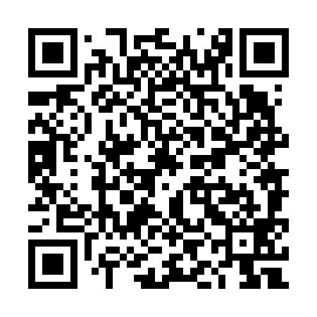 QR code for TIN699