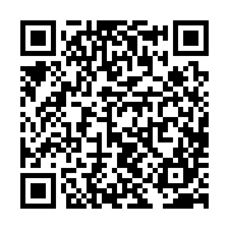 QR code for TIP384