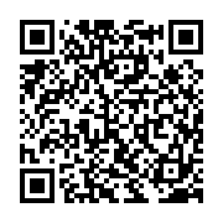 QR code for TIQ133