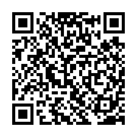 QR code for TIQ611