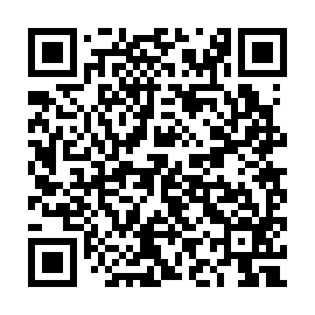 QR code for TIR396