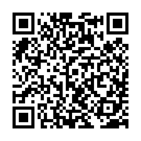 QR code for TIR488
